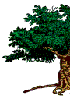 Family Tree